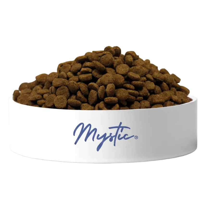 Mystic Adult Cat Food Chicken Low Grain Super Premium – Hrană uscată pentru pisici adulte, cu Pui 15 kg