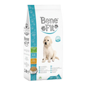 Hrană uscată BeneFit Large Puppy, pentru căței de talie mare cu miel și orez 12 kg