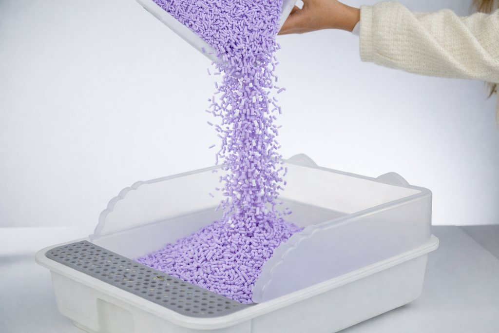 Umplutură Pentru Litieră Din Tofu "Cute Tabby" LAVENDER(Cu Aromă De Lavandă) 6L