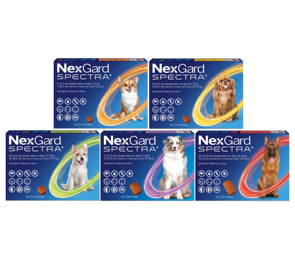 NexGard Spectra XL (30,1 – 60,0 kg)