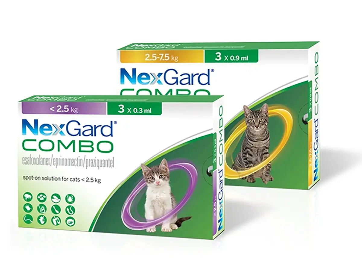 NexGard Combo soluție spot-on pentru pisici de 2,5-7,5 kg, 1x0,9 ml