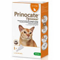 Soluție Prinocate Spot-On pentru pisici și dihori 40 mg/4 mg (până la 4 kg) 1x0,4ml