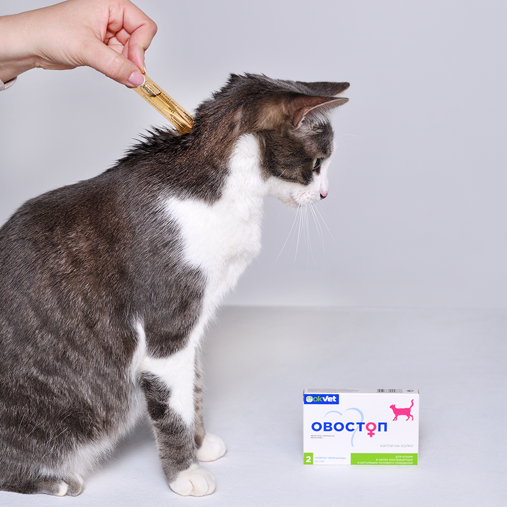 Okvet Ovostop, remediu pentru reglarea activității sexuale a pisicilor, 1 ml x 2 soluții