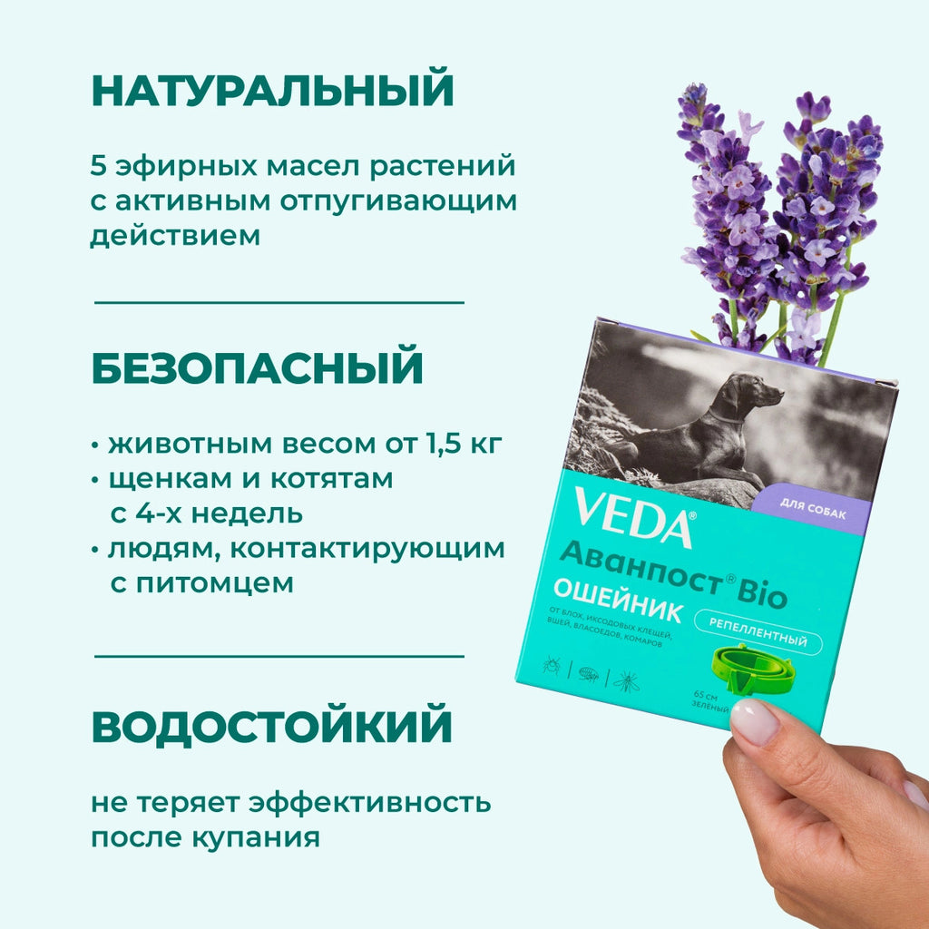 Zgardă repelentă pentru purici și căpușe Veda Avanpost Bio pentru câini, 65 cm