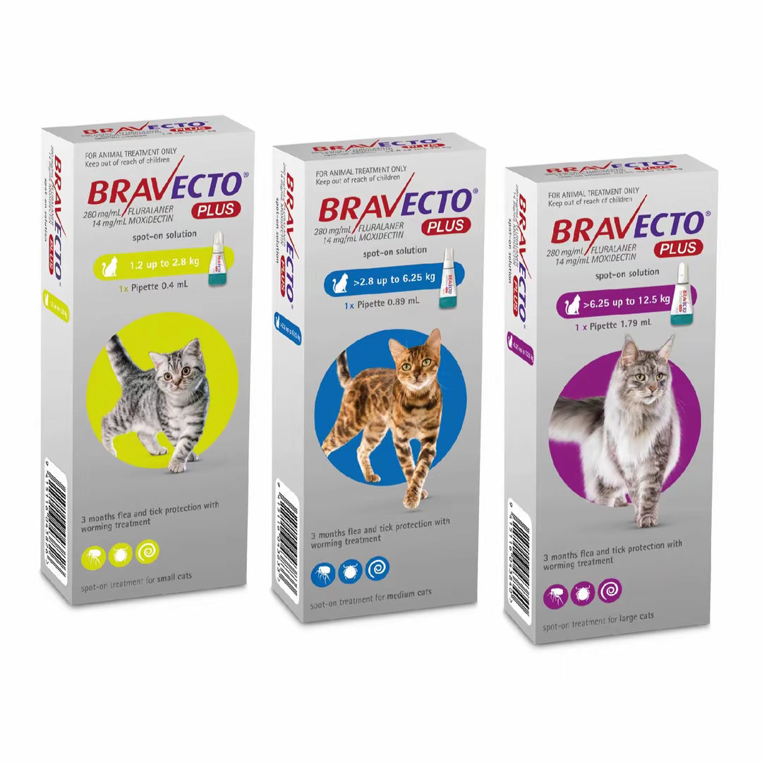 Bravecto Plus Spot On Cat 2.8-6.25 kg (250 mg)