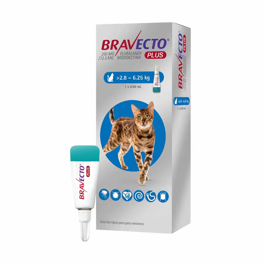 Bravecto Plus Spot On Cat 2.8-6.25 kg (250 mg)