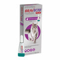 Bravecto Plus Spot On Cat 6.25-12.5 kg (500 mg)