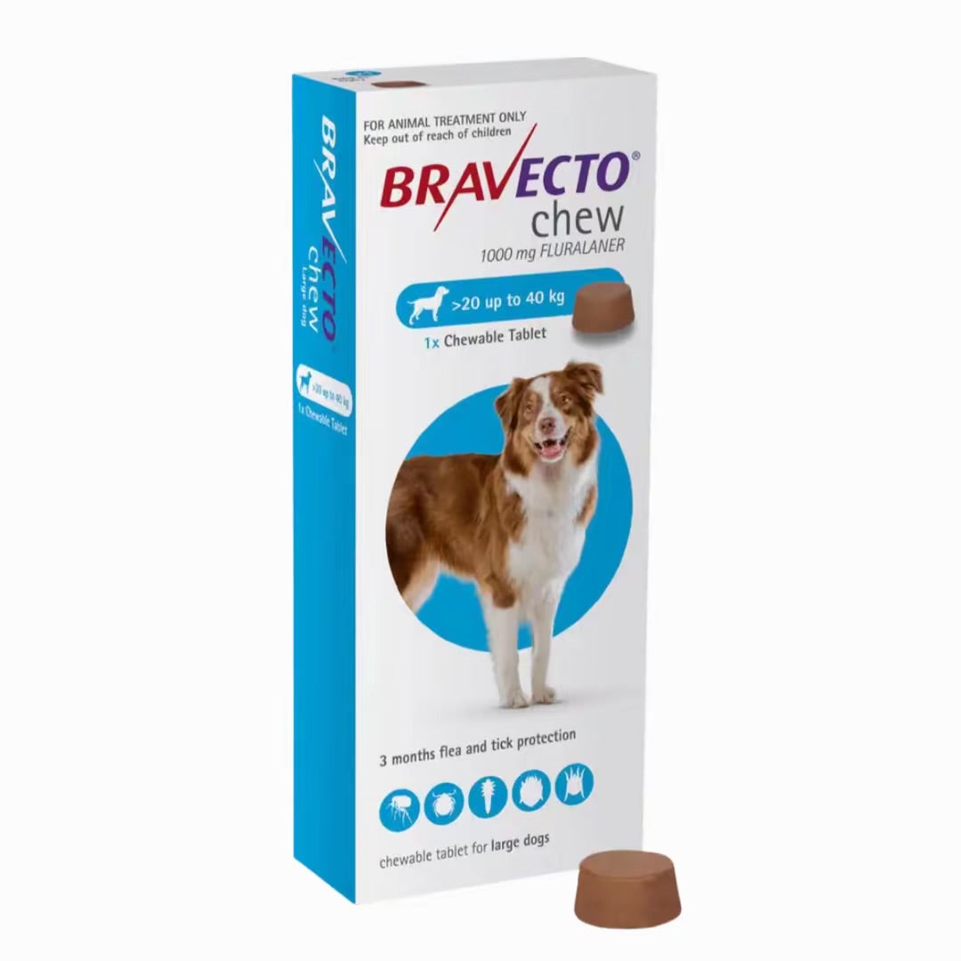 Bravecto pentru câini 20-40 kg (1000 mg)
