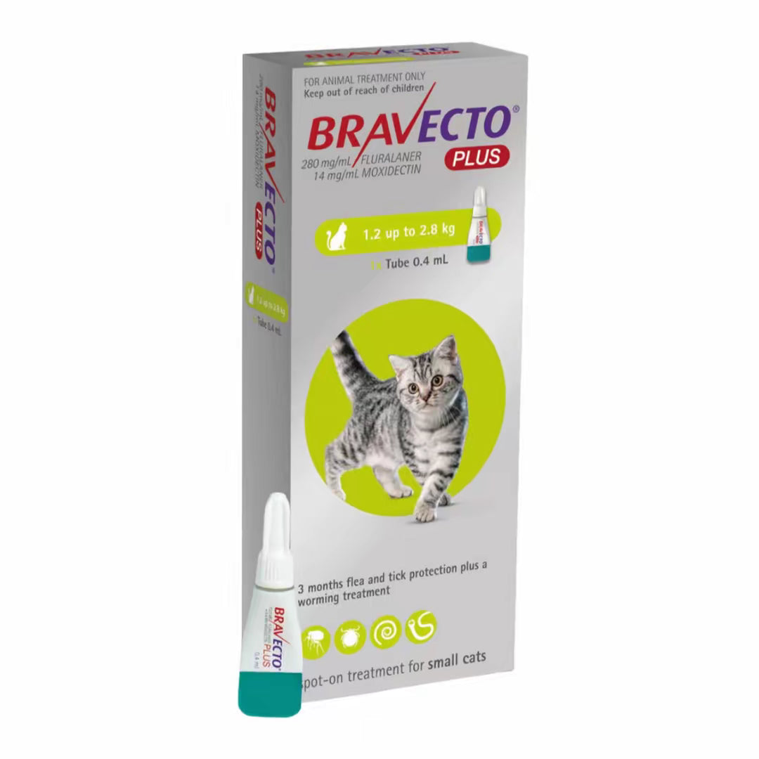 Bravecto Plus Spot On Cat 1.2-2.8 kg (112.5 mg)