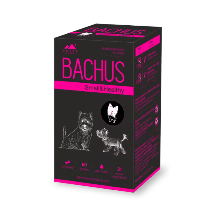 bachus_small_healthy blank